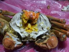 -喜洋洋蟹庄(阳澄湖店)