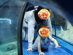 -福州罗源湾海洋世界旅游区