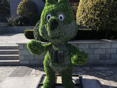 -阳台山自然风景区