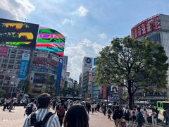 -涩谷区