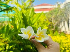 -吴哥国家博物馆