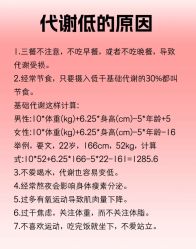 -Fundi张玉珊修身堂·indiba·BTL科技瘦身