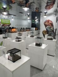 -神奇动物撸宠馆·羊驼·小浣熊·异宠(豫园店)