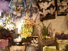 android_upload_pic-盛世荣兰花艺