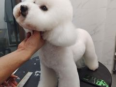 -瑞鹏宠物医院·超声·骨科·奇麟分院(蜀都万达店)