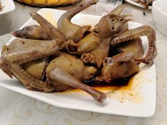 -百利鸽王(紫薇路店)