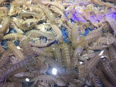 -澜悦港海鲜体验主题餐厅