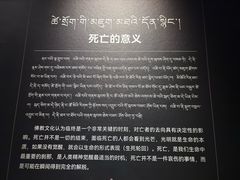 -青海藏文化博物院