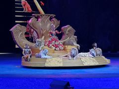 -广州长隆国际大马戏