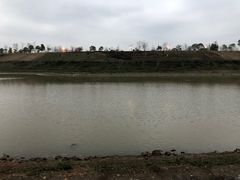 -洋湖国家湿地公园