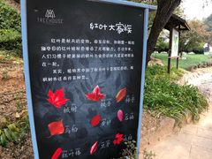 -云峰山自然风景区