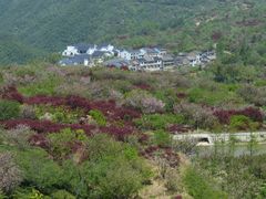 -四明山国家森林公园