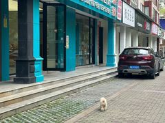 -瑞派康怡24h宠物医院·犬猫医疗中心·微创绝育(瑞景分院)