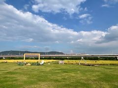 -光明小镇欢乐田园