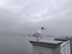 -海埂大坝