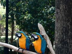 -杭州野生动物世界