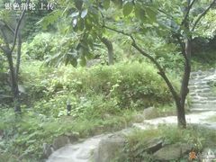 小道-北京水岸山吧度假村(雁栖镇店)