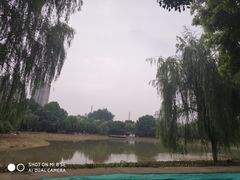 -堤角公园