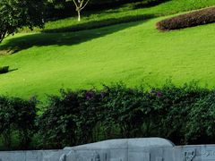-龙头寺公园