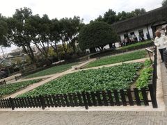 -张闻天故居