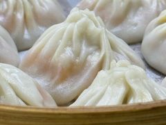 -莱莱小笼·乔艾