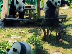 -大连森林动物园