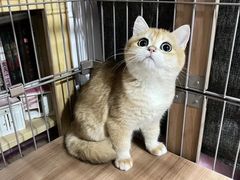 -萌兽医馆·眼科·异宠专科(三里屯店)