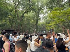 -灵隐飞来峰景区