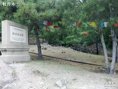 -白水寺森林公园