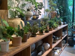 -自由生长植物工作室(深港花卉中心店)
