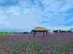 -紫颐香薰山谷景区