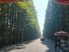 -渡海小渔村.老辈日照菜