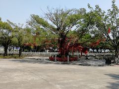 -南沙天后宫景区