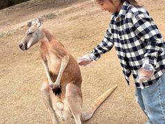 -泉州海丝野生动物世界