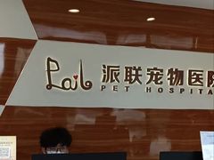 -派联宠物医院·24h·CT·异宠