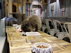 -小时光咖啡馆(开森度假森林店)