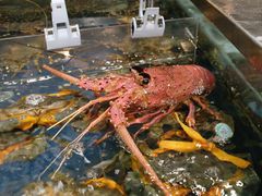 -盒马鲜生(杭州运河上街店)
