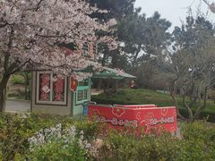 -青岛中山公园-索道售票处