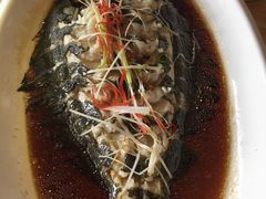 鸦片鱼-渔家灯火(领秀城店)