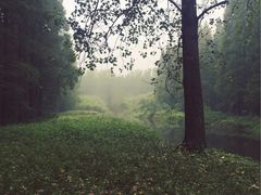 -黄海国家森林公园