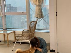 -共舞时光猫咖·狗咖(新街口店)