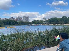 -新江湾城公园