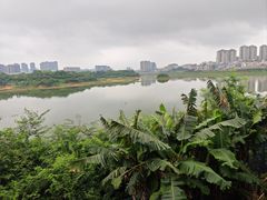 -立新湖公园