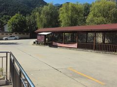 -王顺山国家森林公园