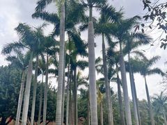 -广州雕塑公园