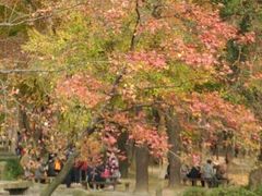 苏州天平山-白云泉茶室