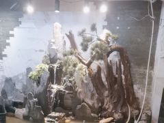 -钓龙·无刺鲫鱼·江湖菜(江北店)