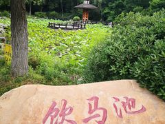 -合肥三国新城遗址公园