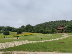 -棒棰岛宾馆景区