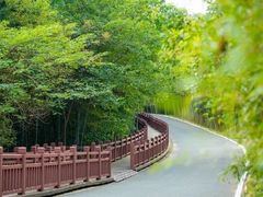 -游子山休闲旅游区